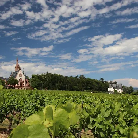 Im Bubenstueck 莱茵河畔的宾根